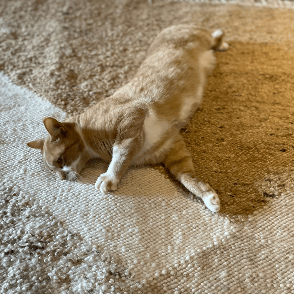 Carpet Rock