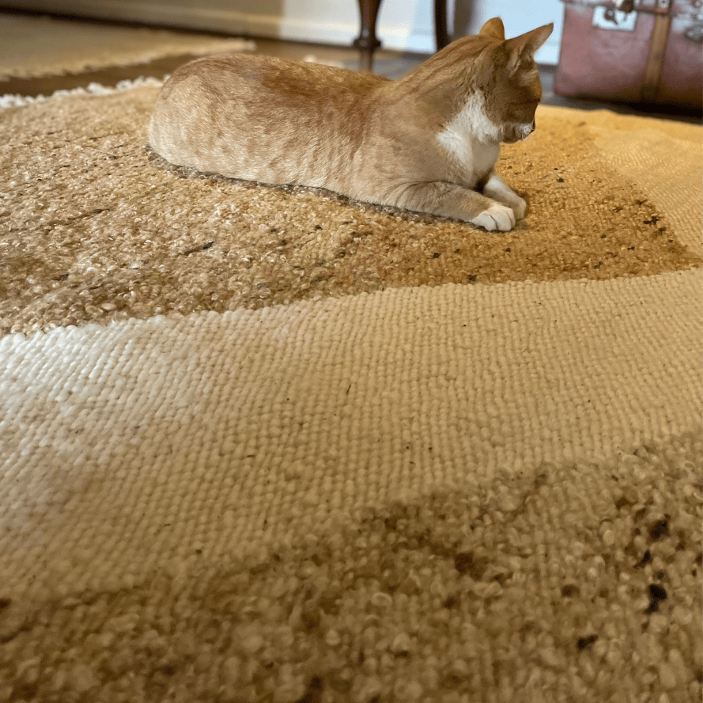 Carpet Rock